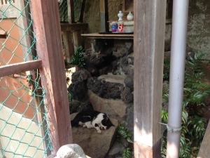 心地イイ居場所